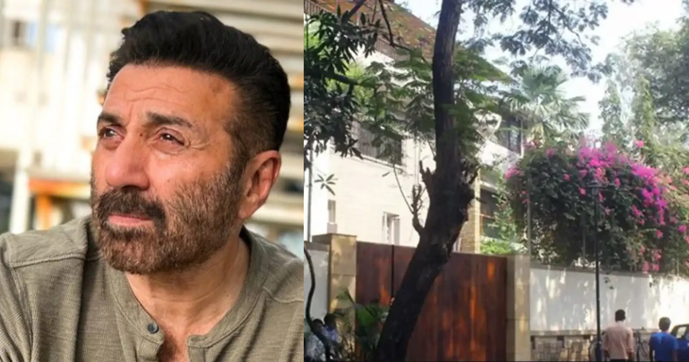 celeb home image